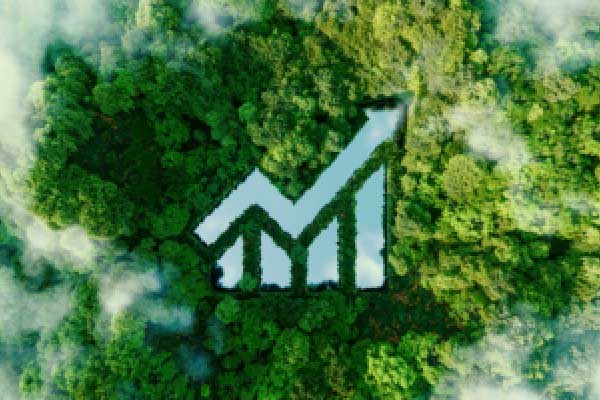 如果美国经济衰退 鲍威尔将成为特朗普的“替罪羊”